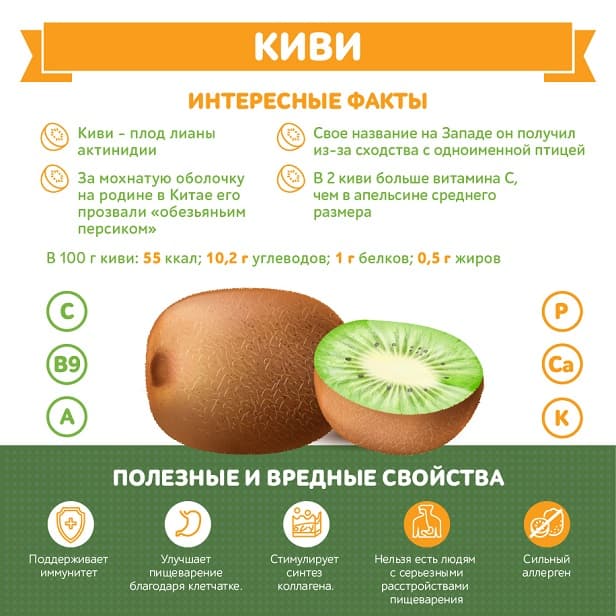 Киви вес