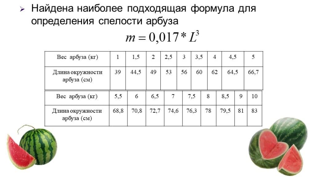 Арбуз вес